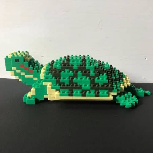 Red-Eared Slider