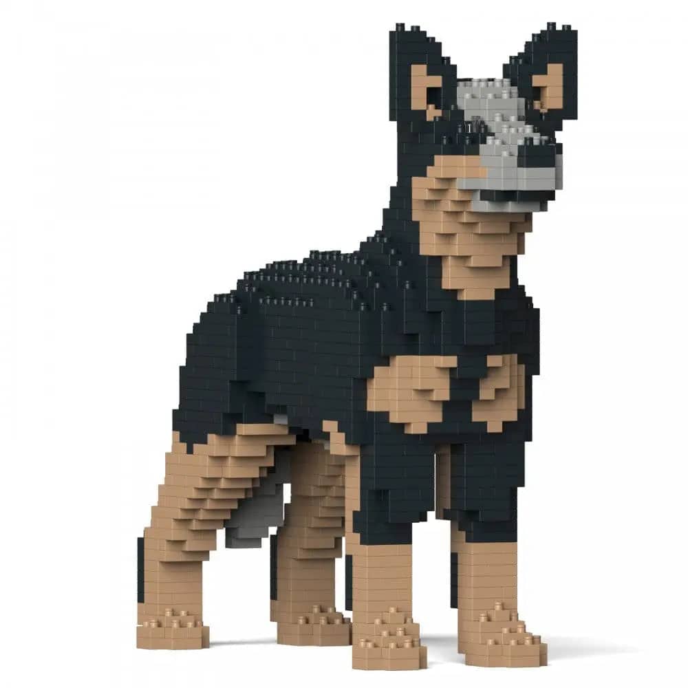 Australian Cattle Dog