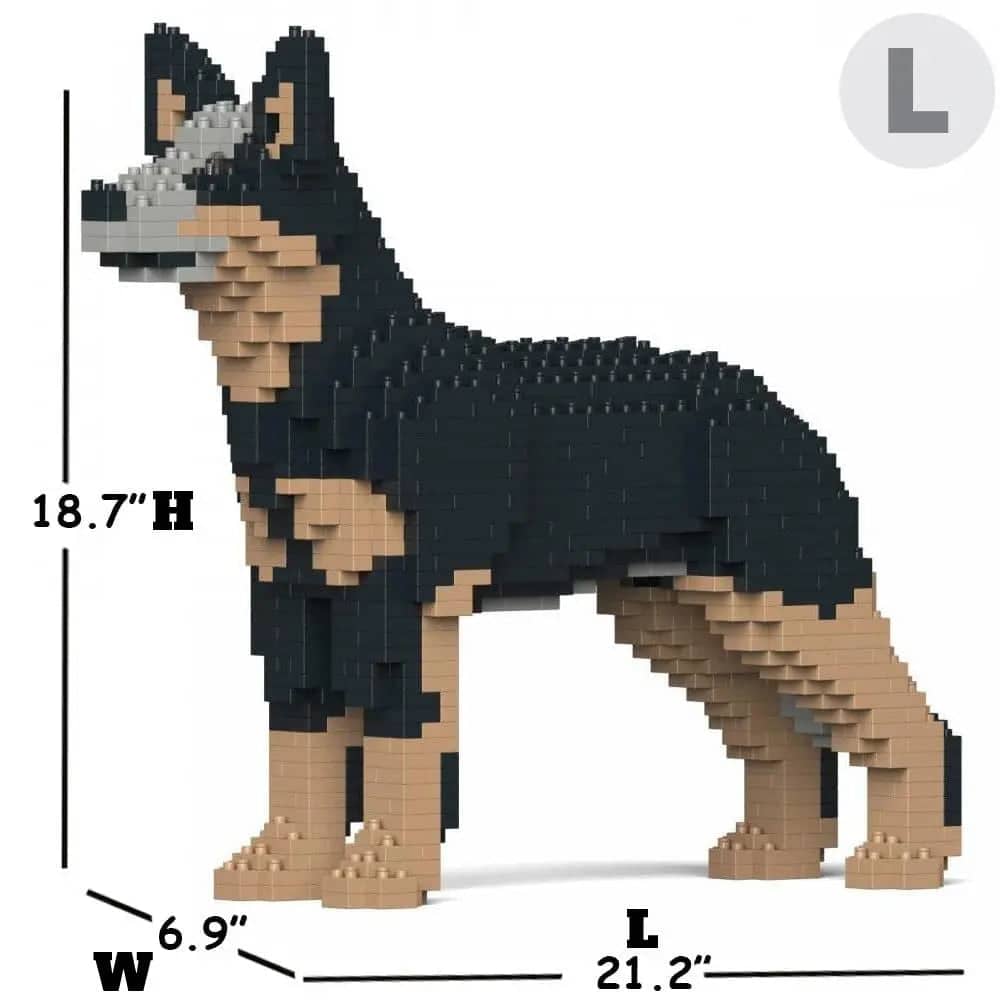 Australian Cattle Dog