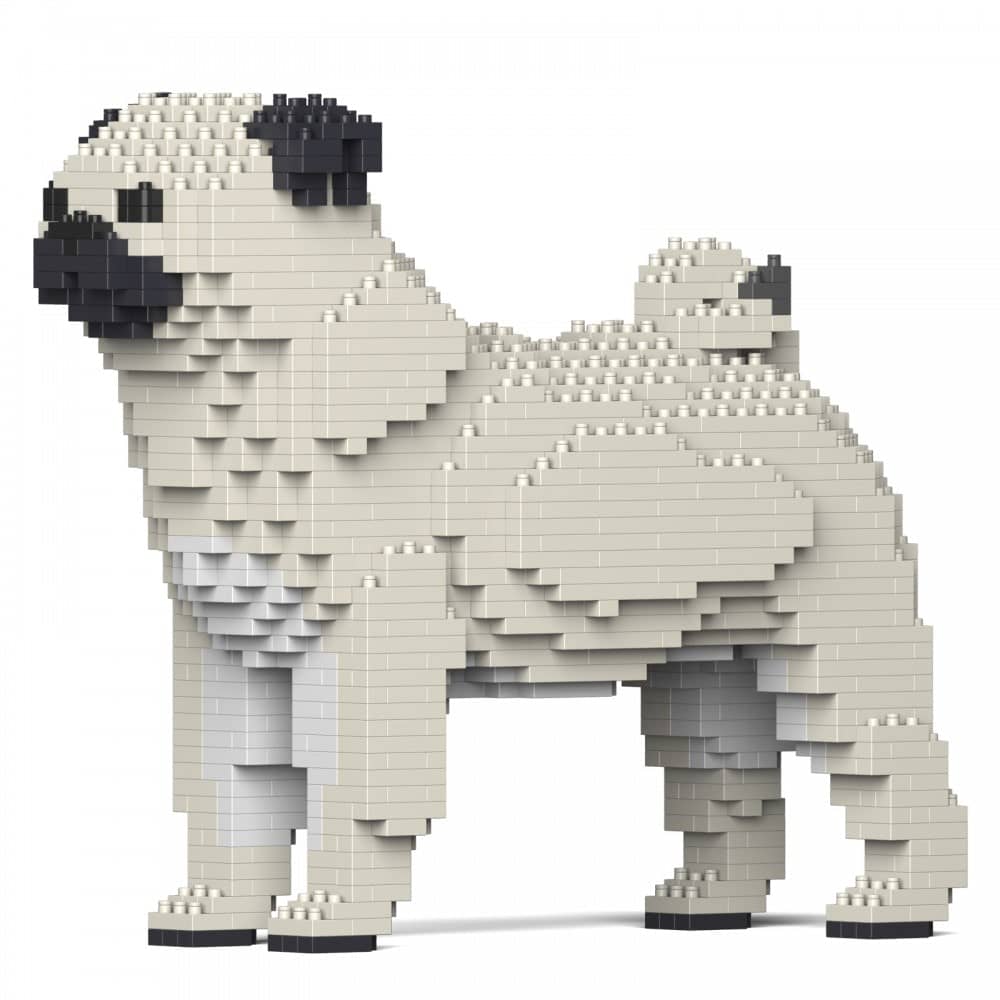Pug