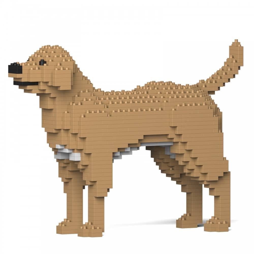Labrador Retriever (SALE)