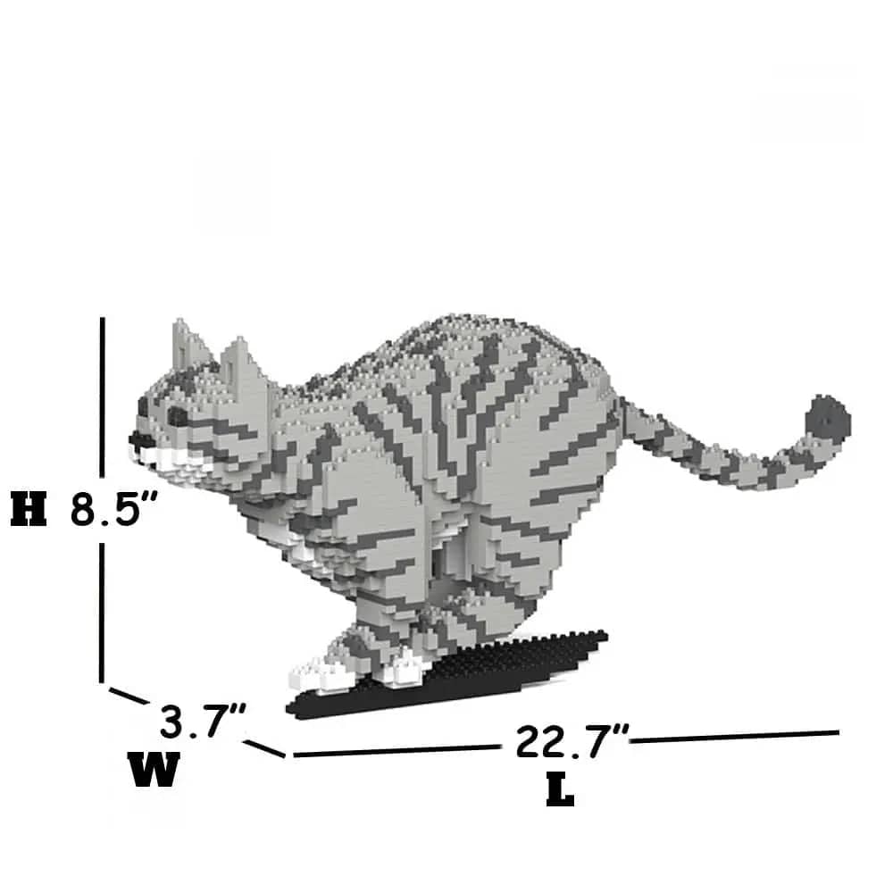 Tabby Cat