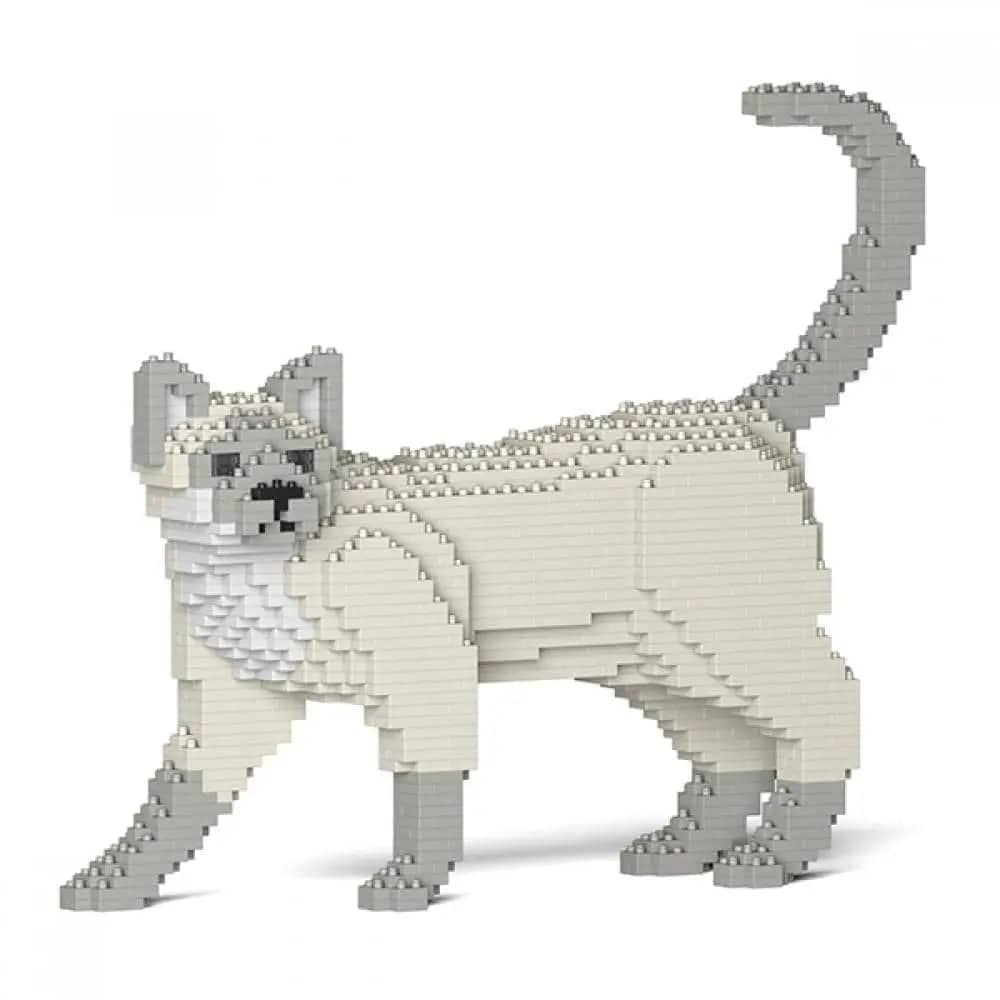 Tonkinese Cat