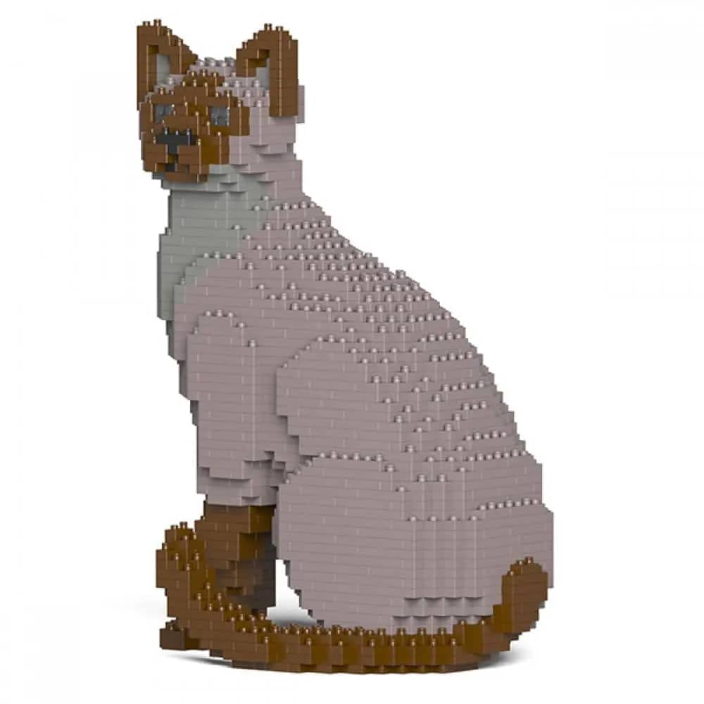 Tonkinese Cat