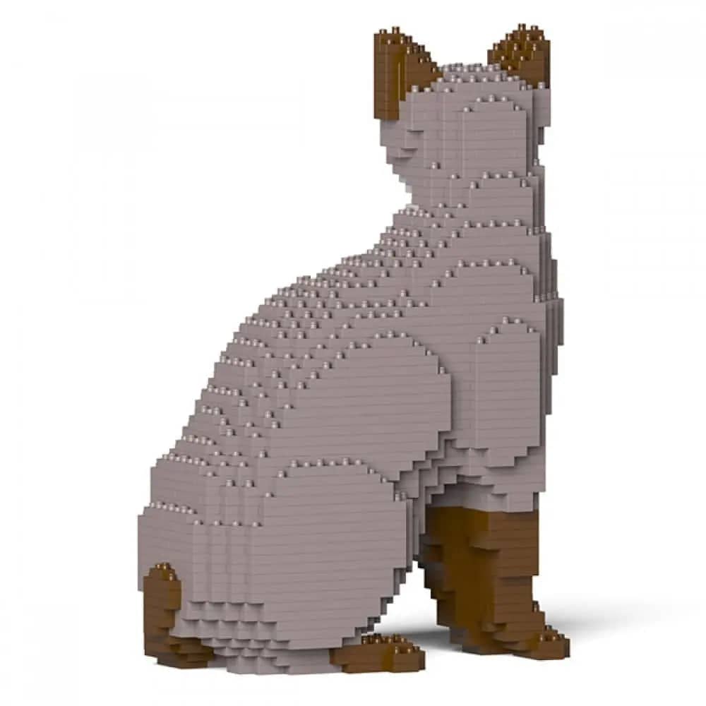 Tonkinese Cat