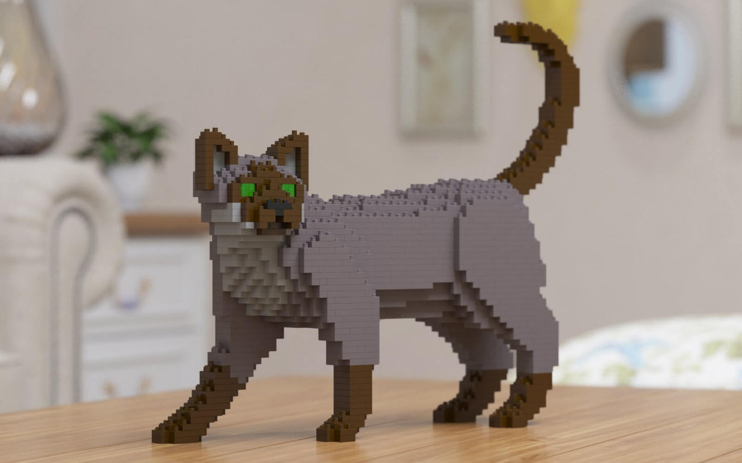 Tonkinese Cat
