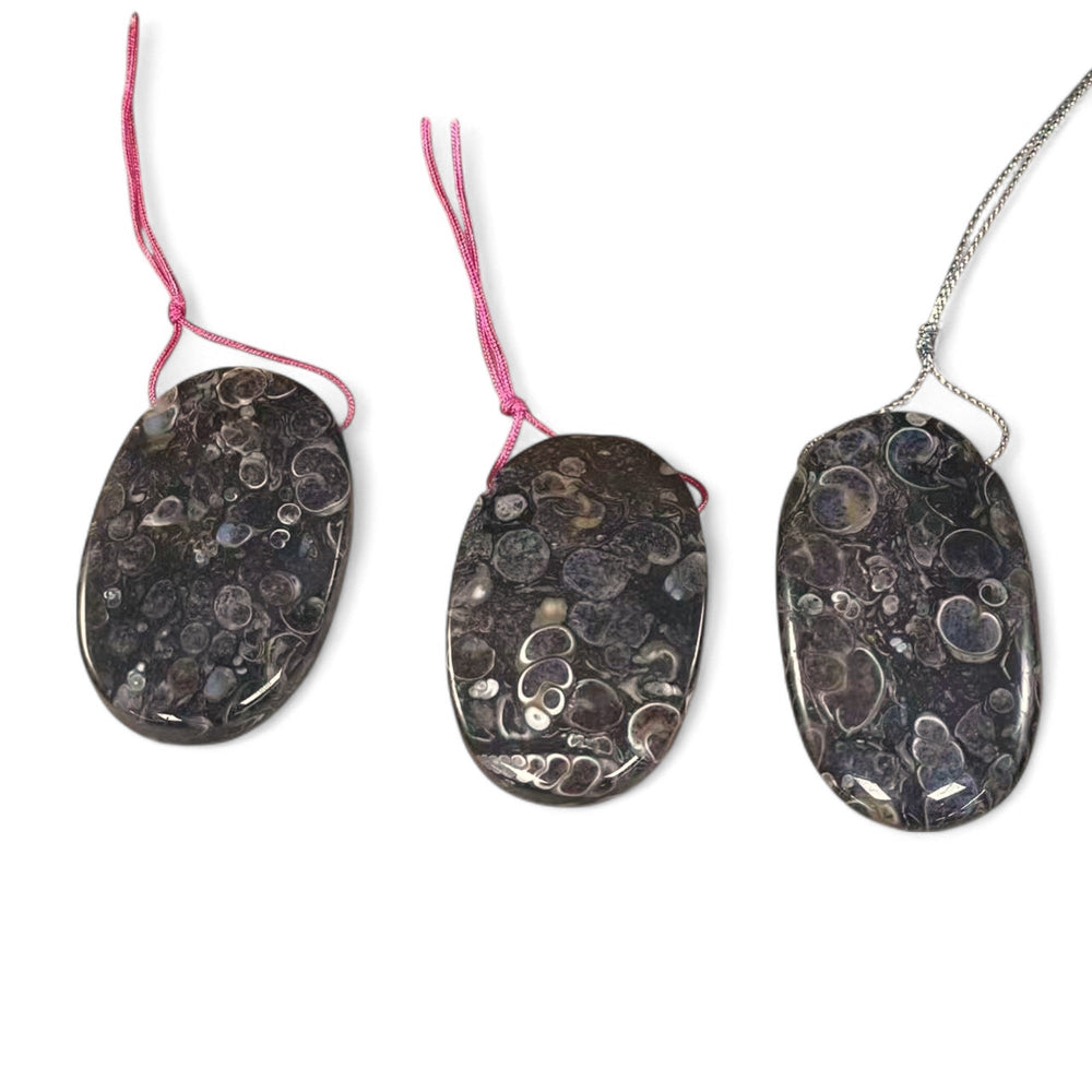 Turritella Fossil Agate, Oval Shape, Top Side Drilled, Pendant-0