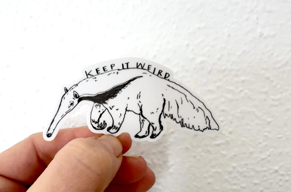 Sæt med 3 klistermærker/dekaler