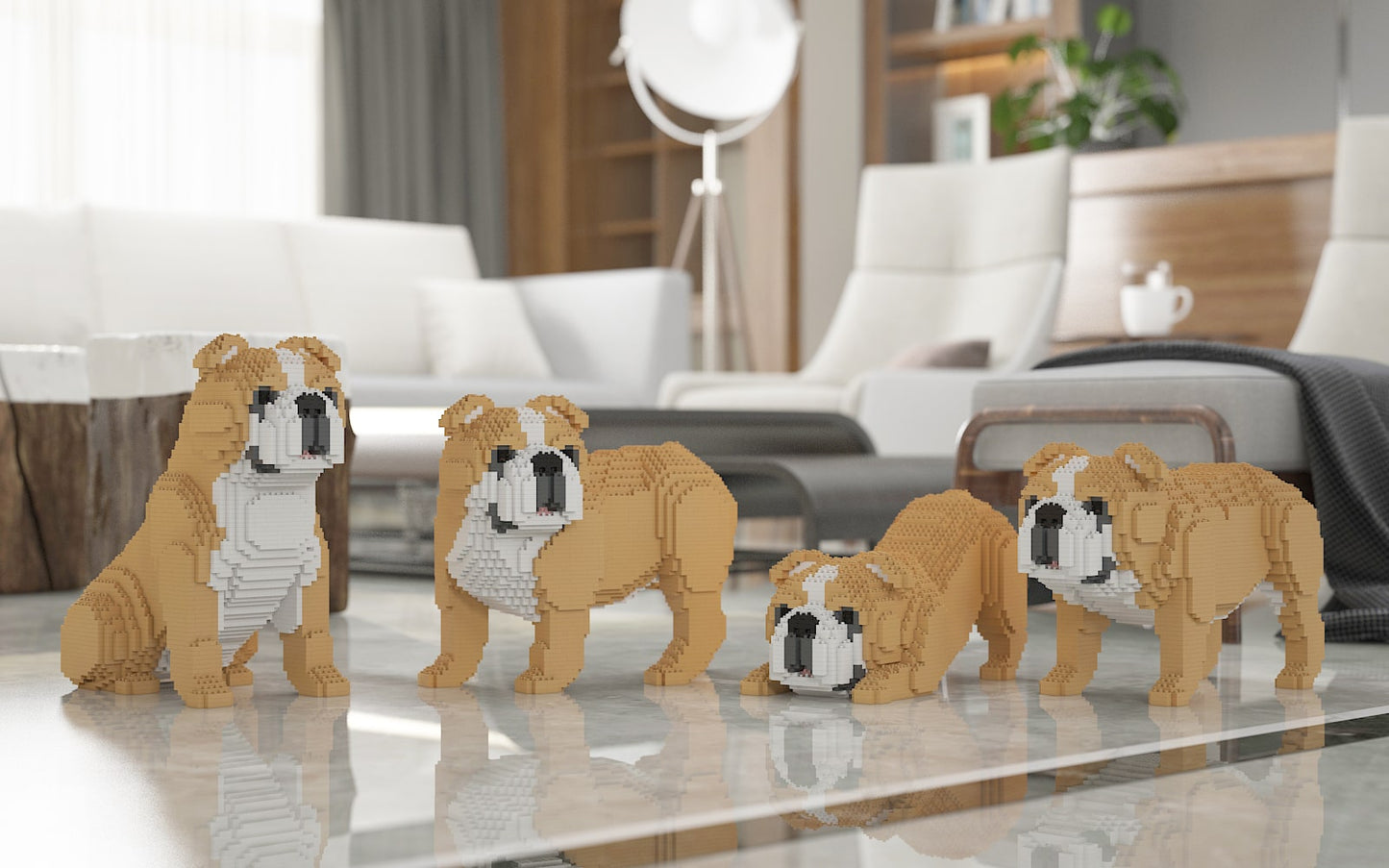 English Bulldog