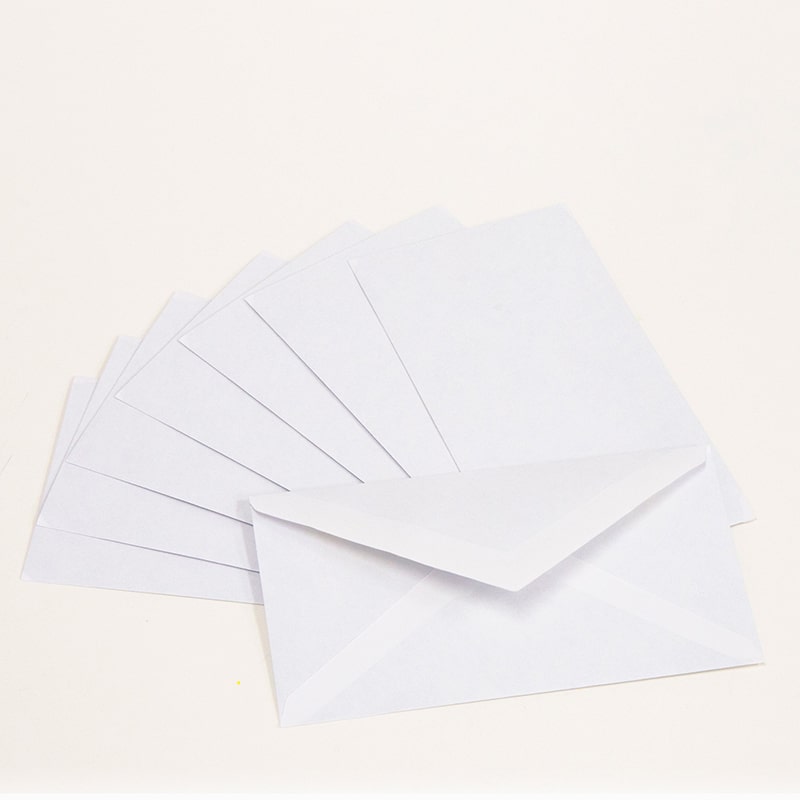 #6 3/4 Security Envelope w/ Gummed Closure (80/Pack)
