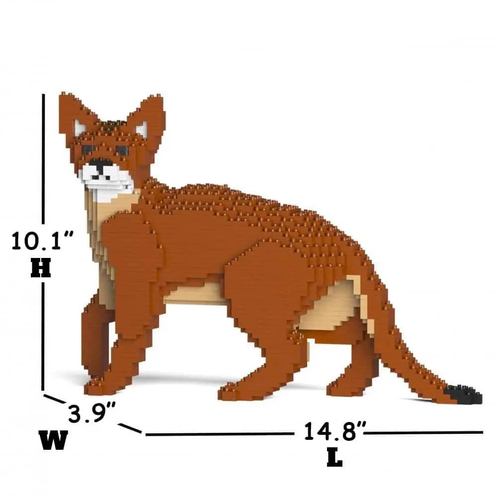 Abyssinian Cat