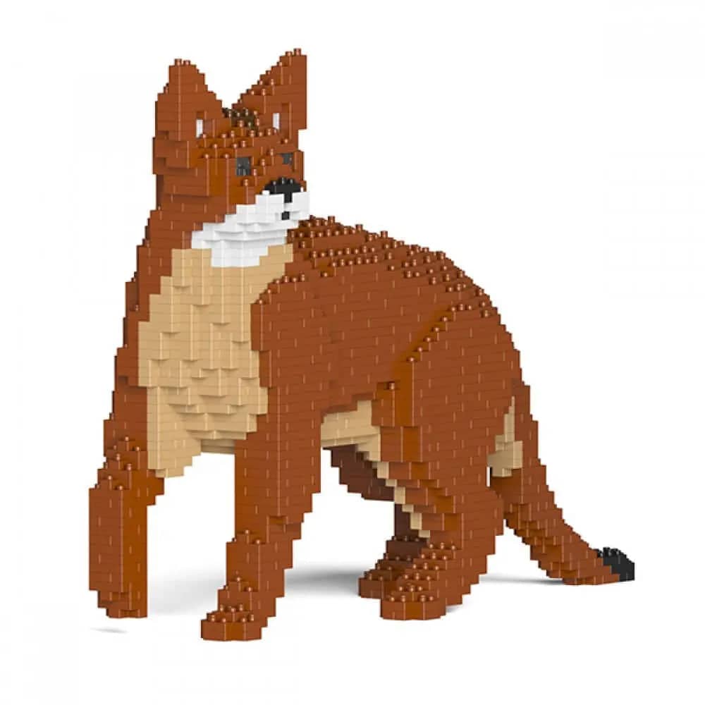 Abyssinian Cat