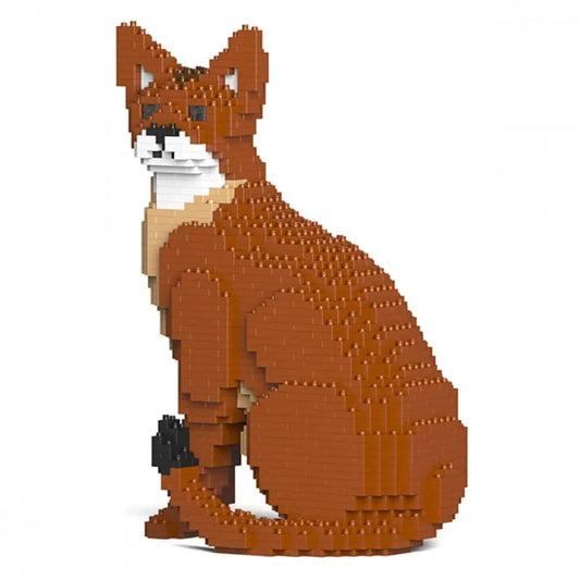 Abyssinian Cat