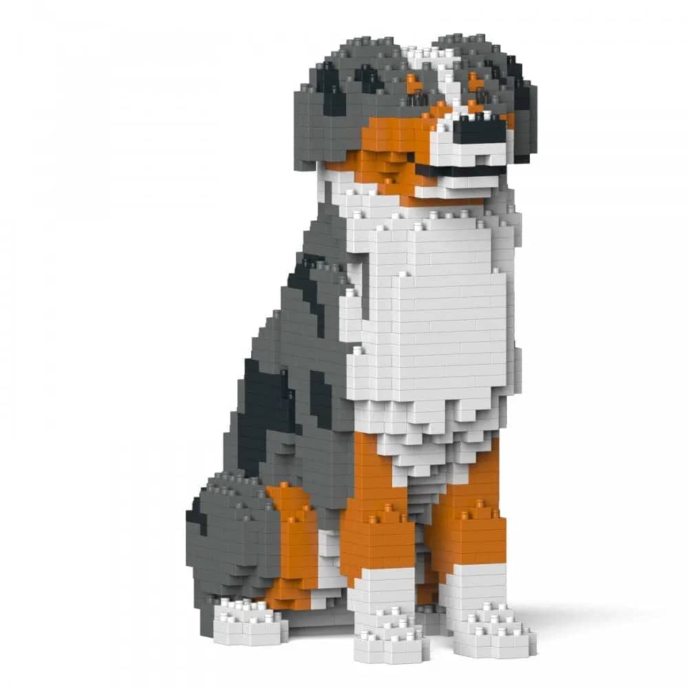 Australian Shepherd (SALE)