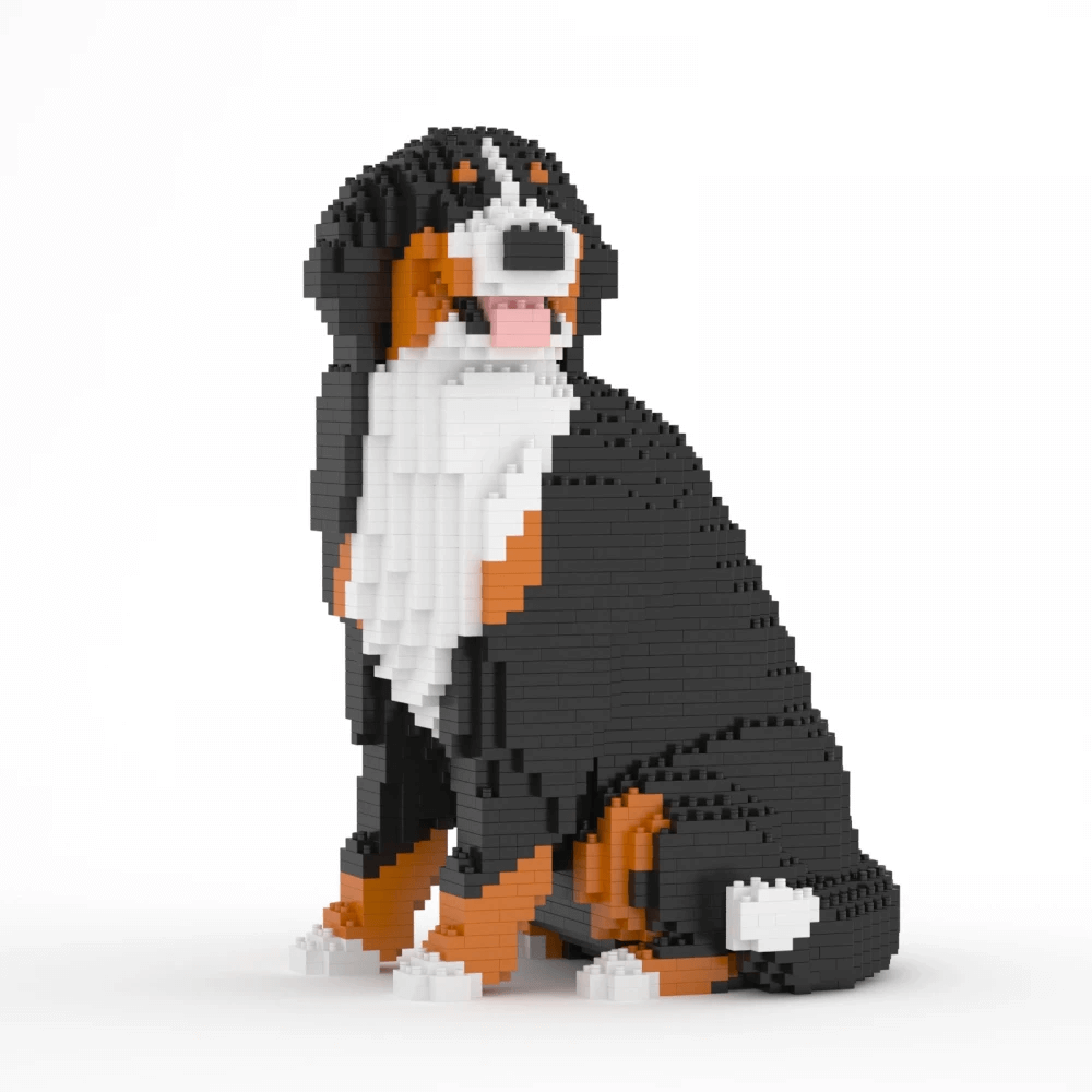 Bernese Mountain Dog