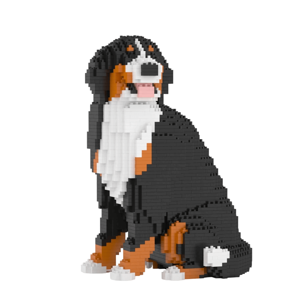 Bernese Mountain Dog