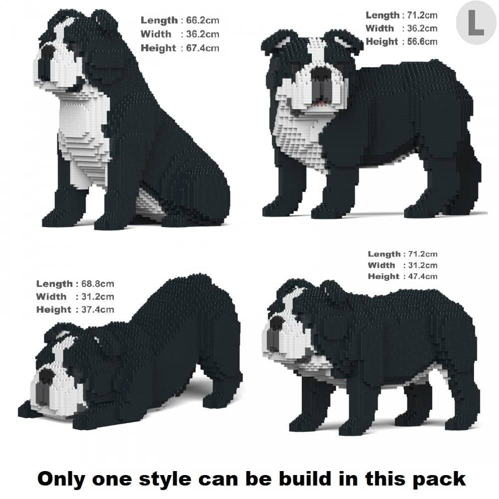 English Bulldog