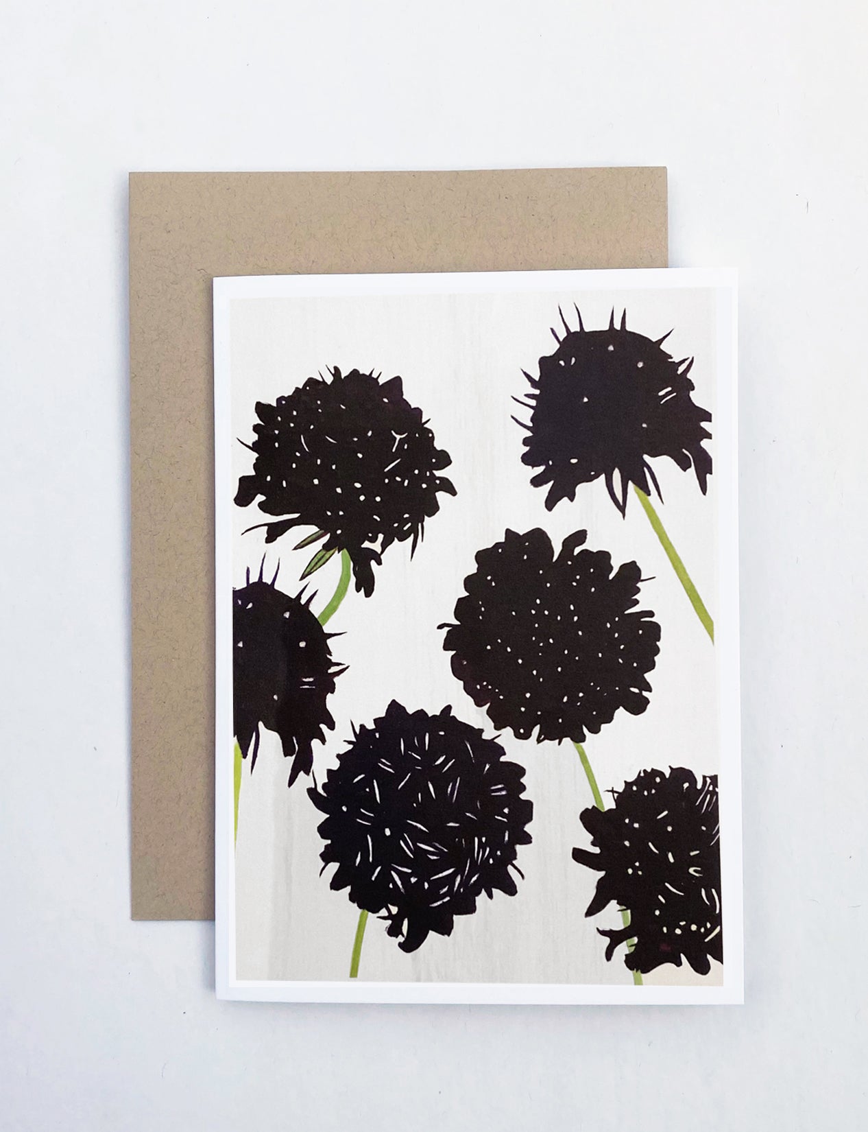 Notecard:  Black Scabiosa on Snow