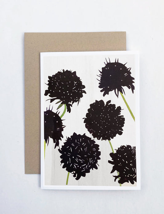 Notecard:  Black Scabiosa on Snow
