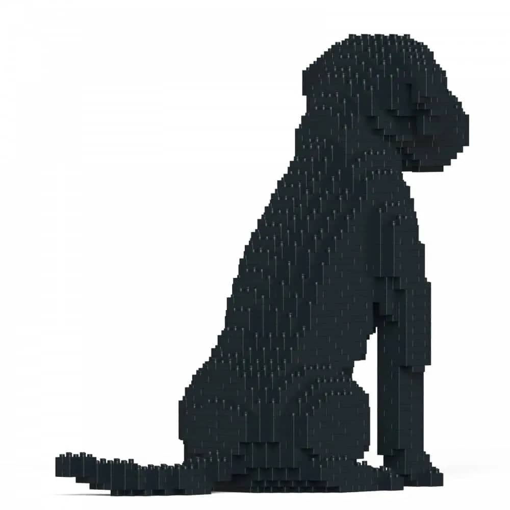 Cane Corso Dog