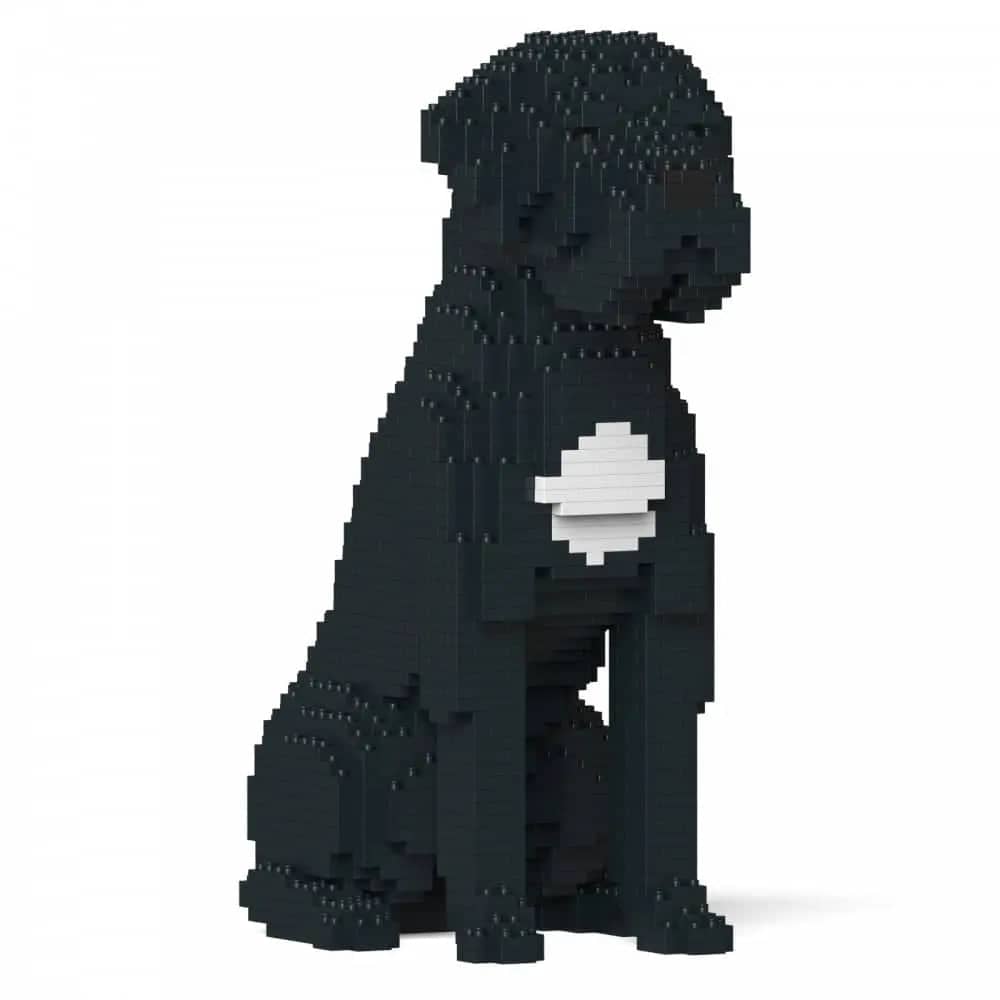 Cane Corso Dog
