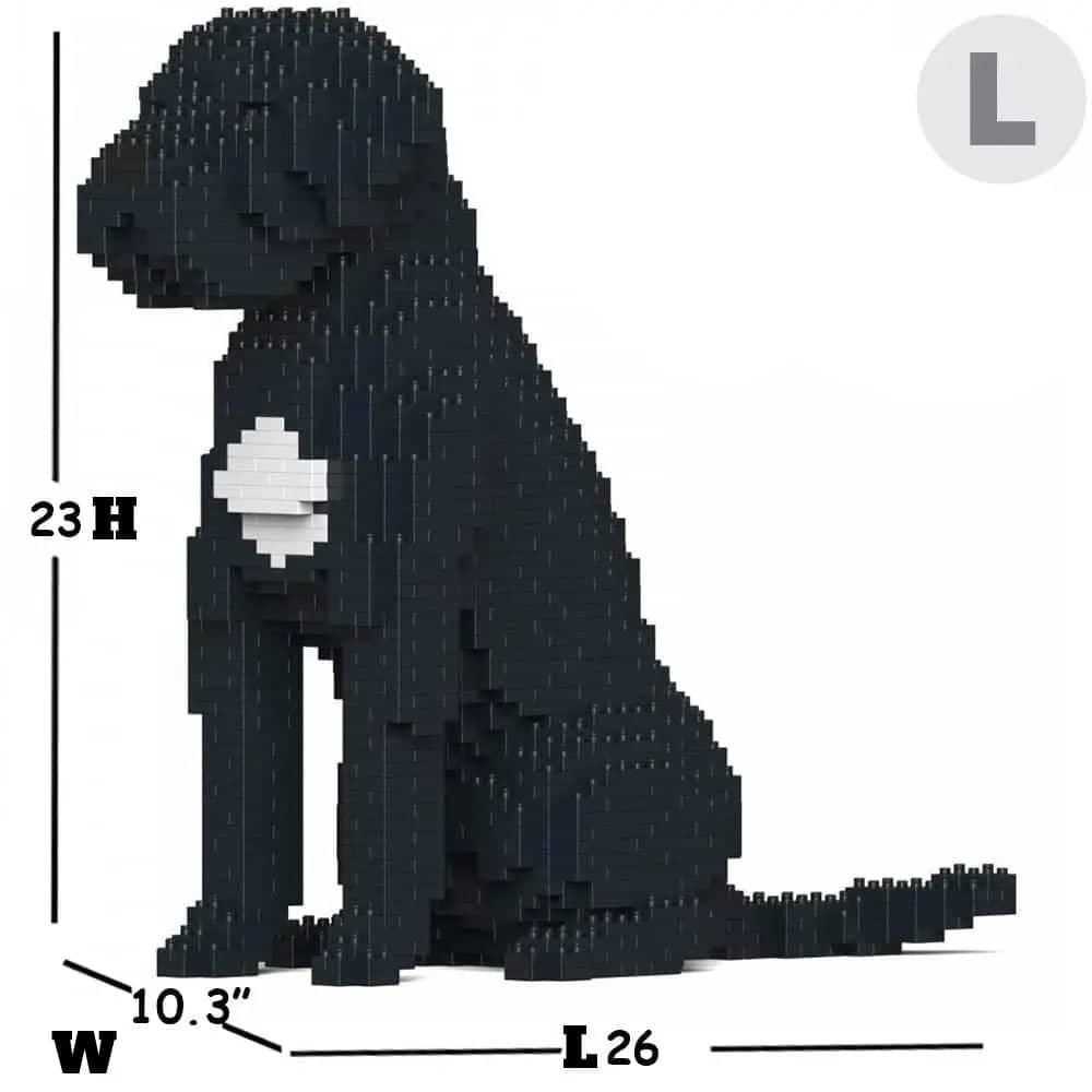 Cane Corso Dog