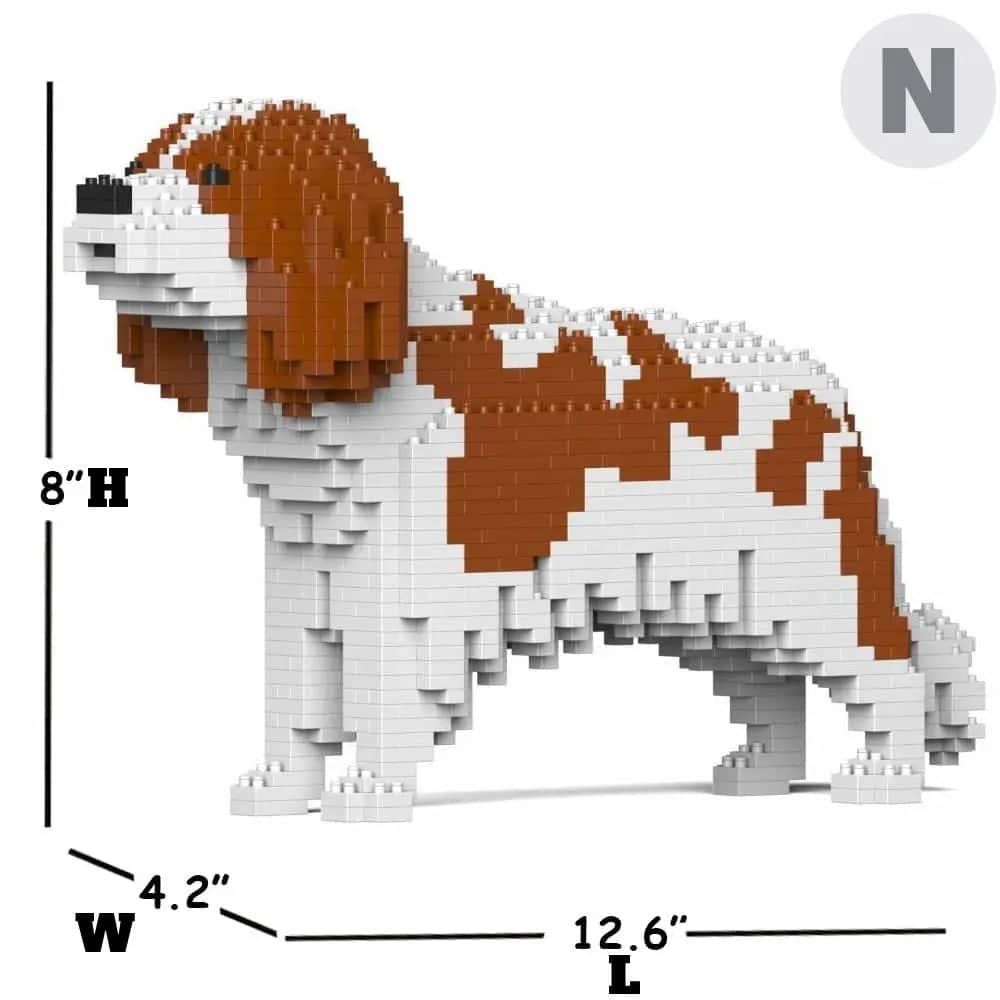 Cavalier King Charles Spaniel