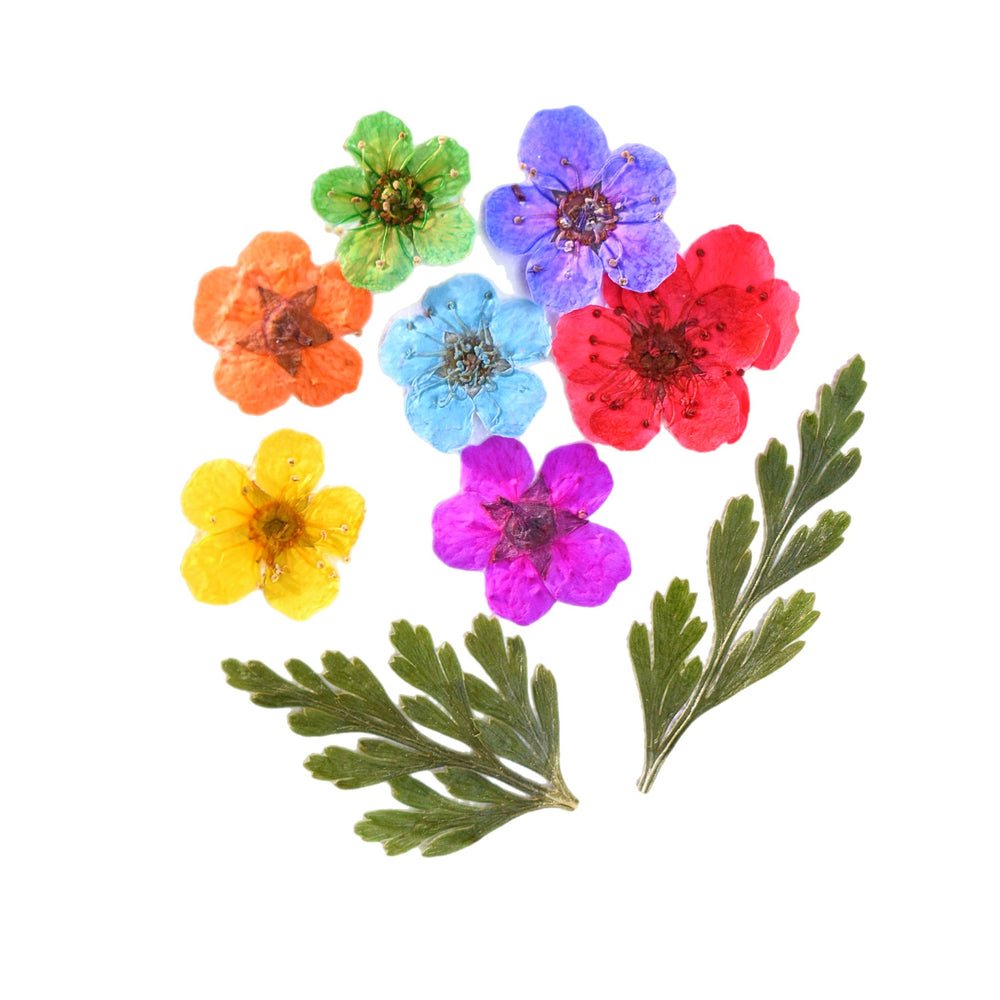 Dried Flowers Variety Pack - 144pcs