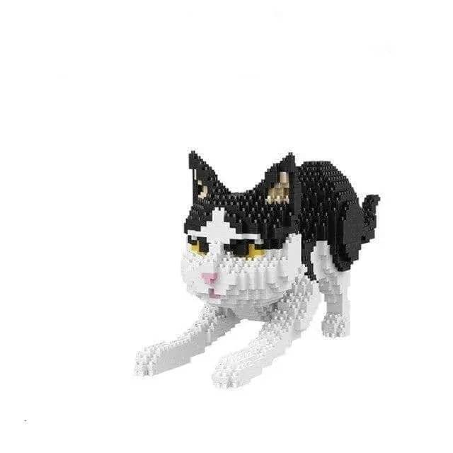 Cuddles The Cat
