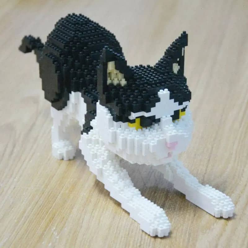 Cuddles The Cat