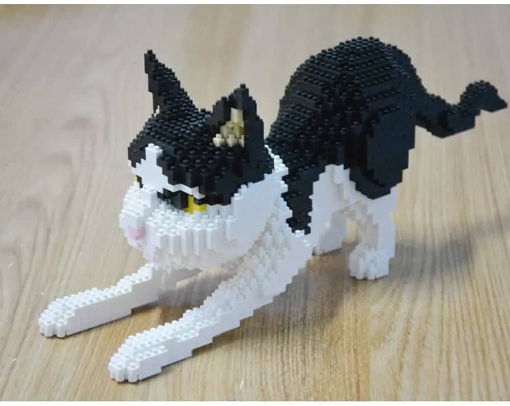 Cuddles The Cat