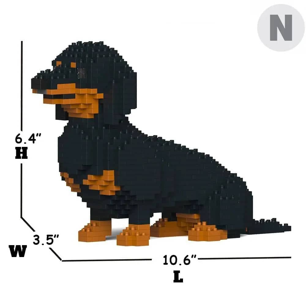 Dachshund (SALE)