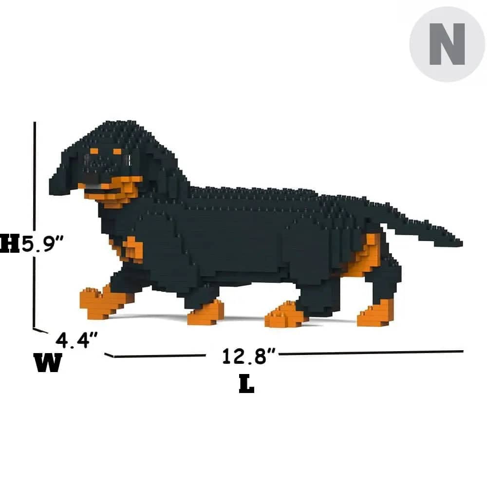 Dachshund (SALE)