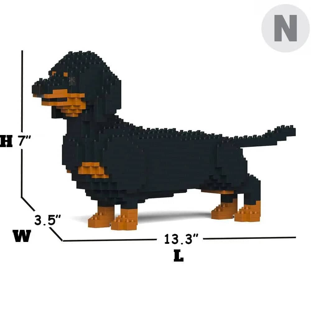 Dachshund (SALE)