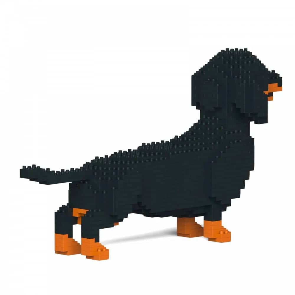 Dachshund (SALE)