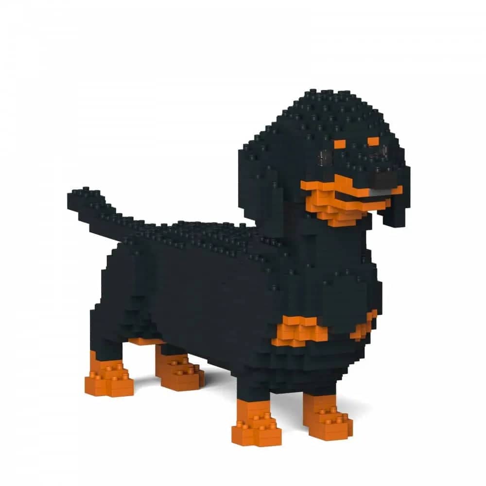 Dachshund (SALE)