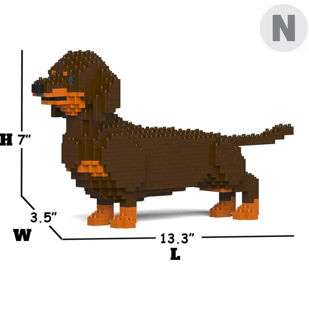 Dachshund (SALE)