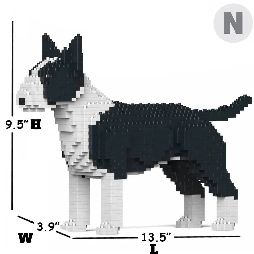 English Bull Terrier