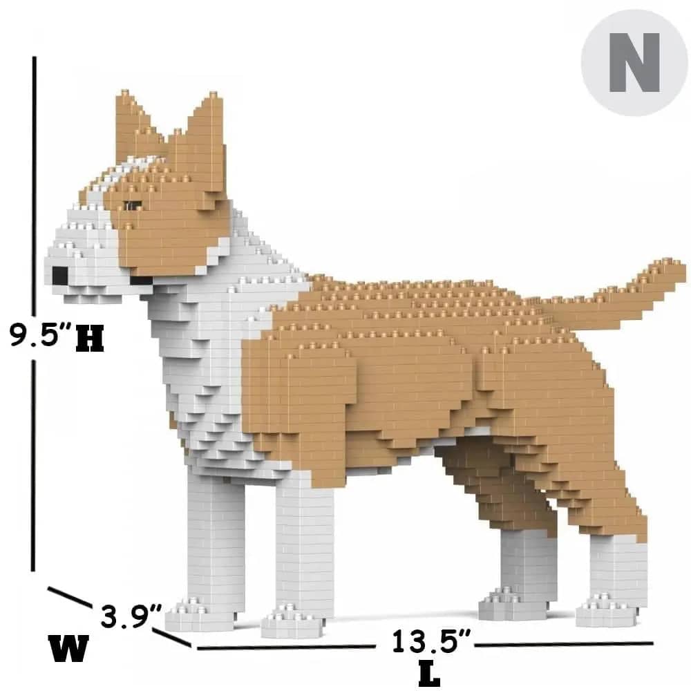 English Bull Terrier