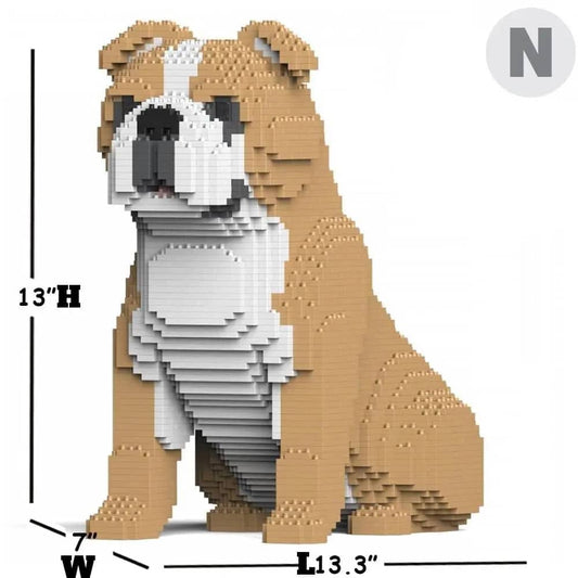 English Bulldog