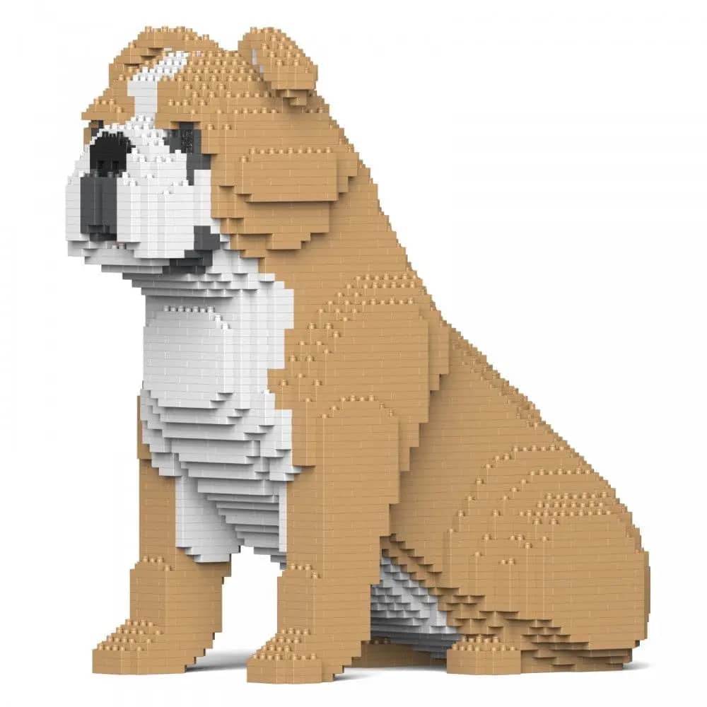 English Bulldog