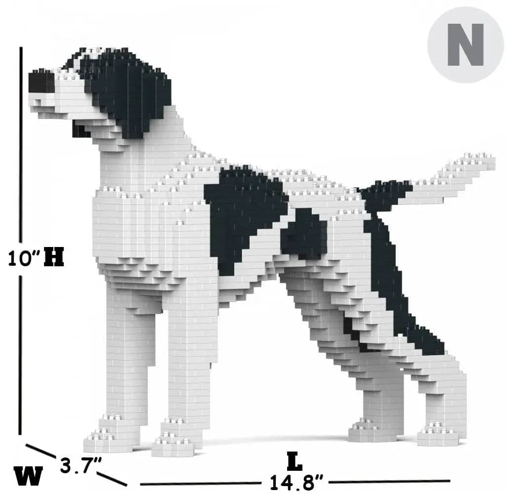 English Pointer
