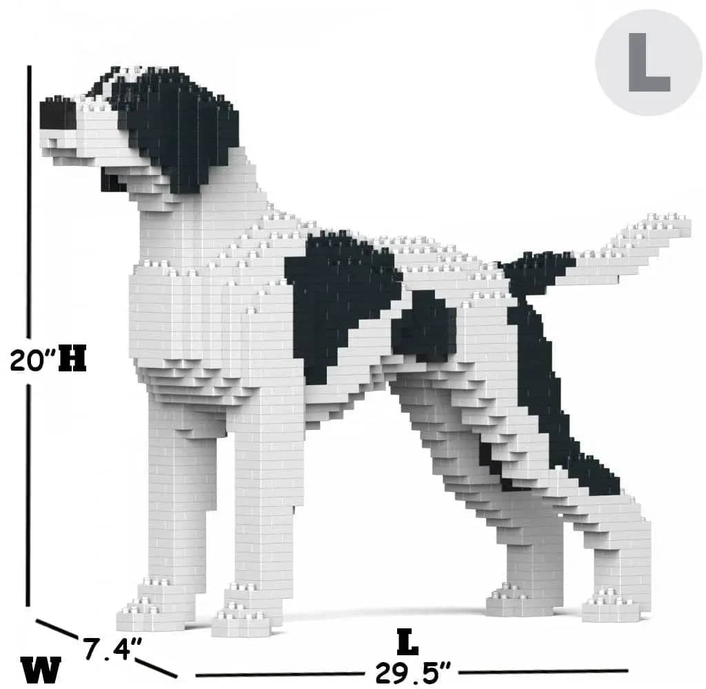 English Pointer