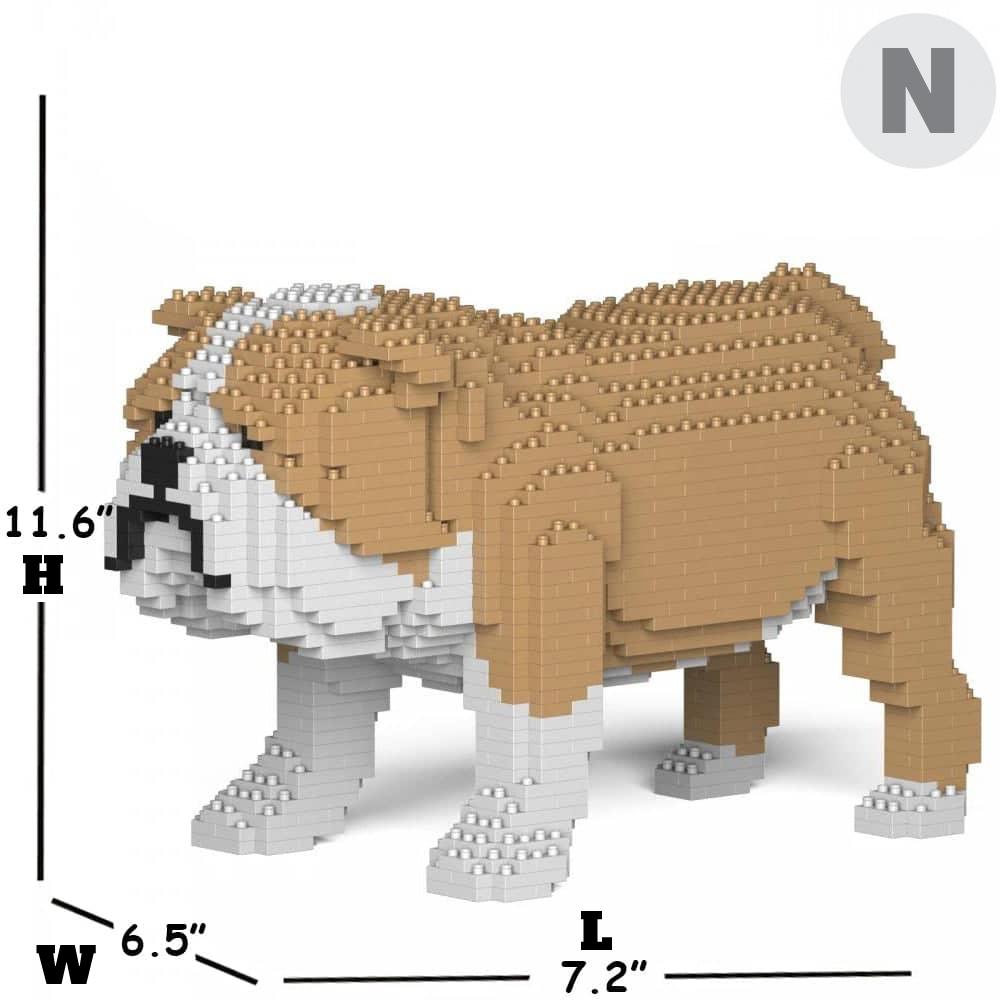English Bulldog