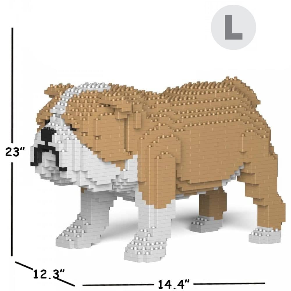 English Bulldog