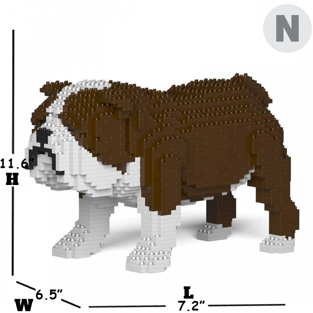 English Bulldog