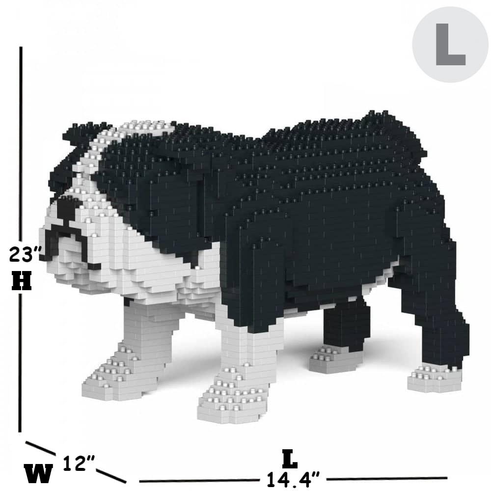 English Bulldog