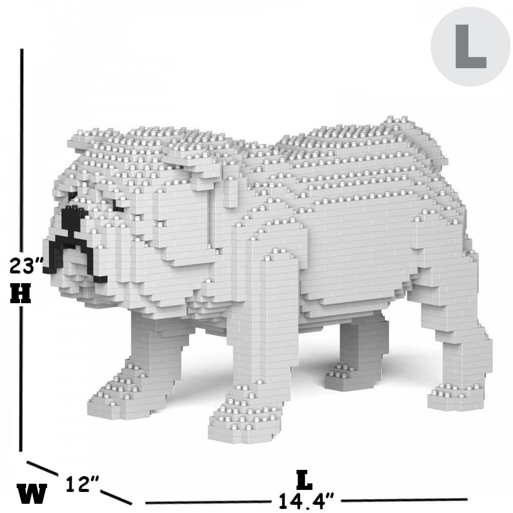 English Bulldog