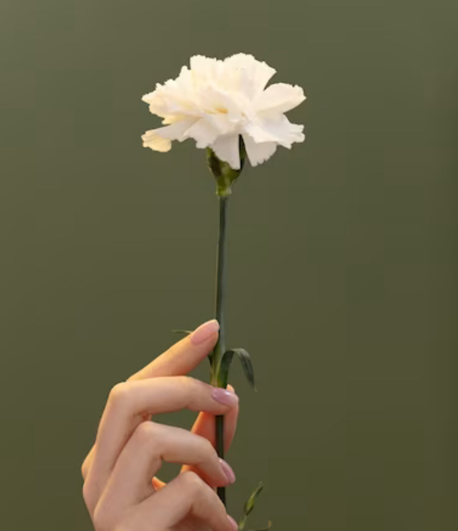 Stilke - Blomster pr. stilk ($3)