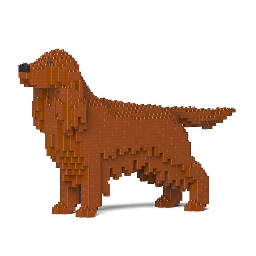 Irish Setter